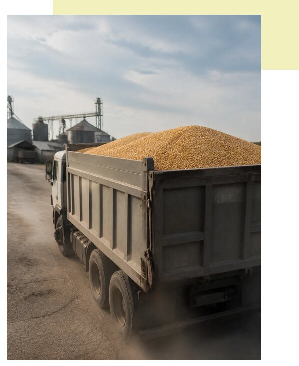 Перевозка сельхозпродукции навалом в Курск по цене от 3127 р. | Агросервис-Кус